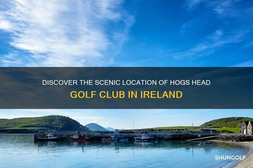 where is hogs head golf club