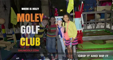 Discover the Location of Holey Moley Golf Club: A Fun Guide