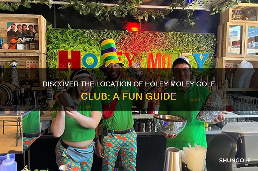 where is holey moley golf club