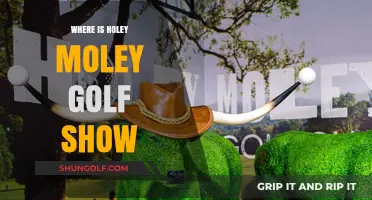 Holey Moley Golf Show: Where's the Fun?