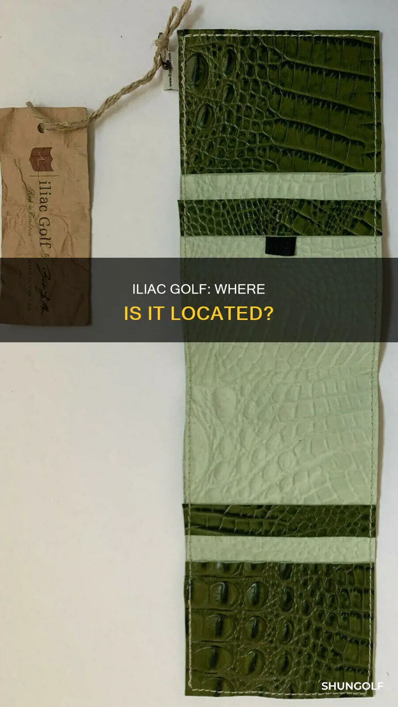 where is iliac golf located