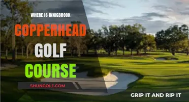 Discover Innisbrook Copperhead Golf Course: Location and Directions Guide