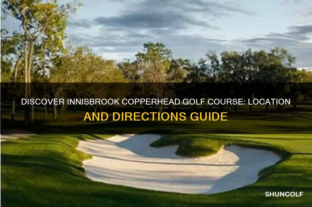 where is innisbrook copperhead golf course