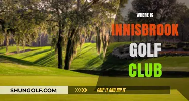 Discovering Innisbrook Golf Club: Location, Access, and Nearby Attractions