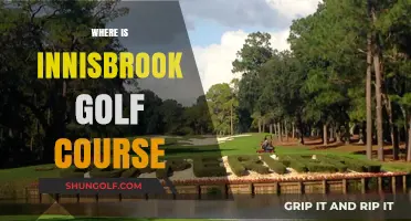 Discover Innisbrook Golf Course: Location, Access, and Nearby Attractions
