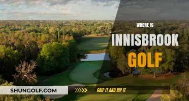 Explore Innisbrook Golf's Idyllic Location