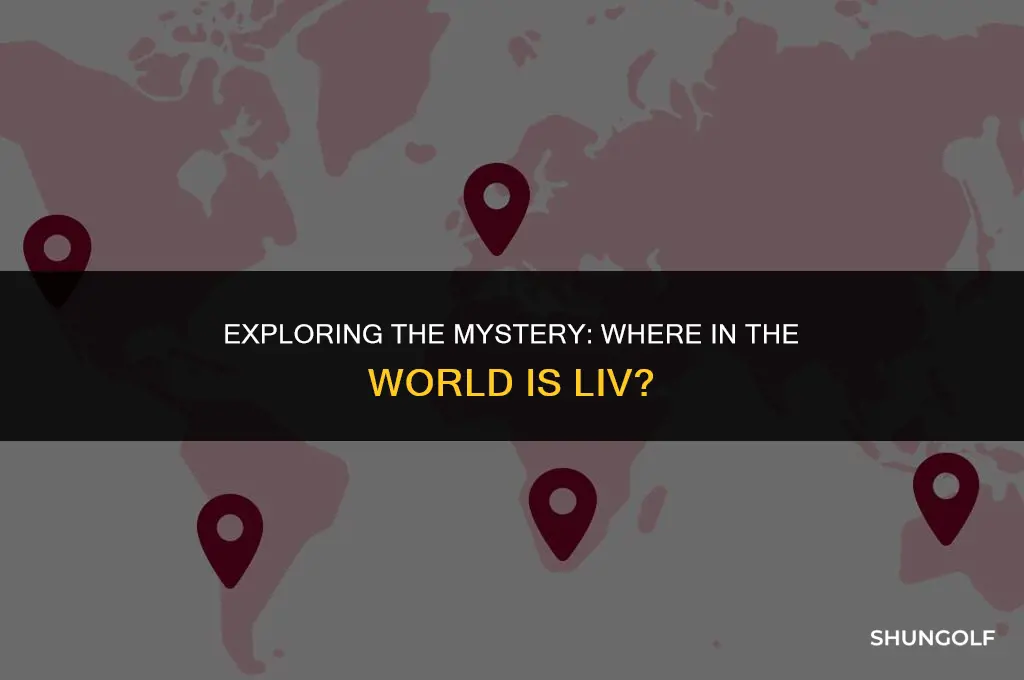 where is liv