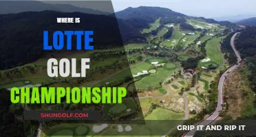 Lotte Championship: Where Golf Pros Meet