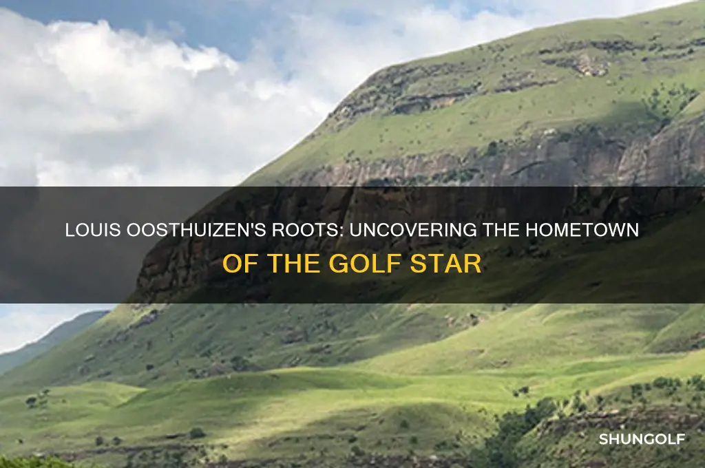 where is louis oosthuizen the golfer from