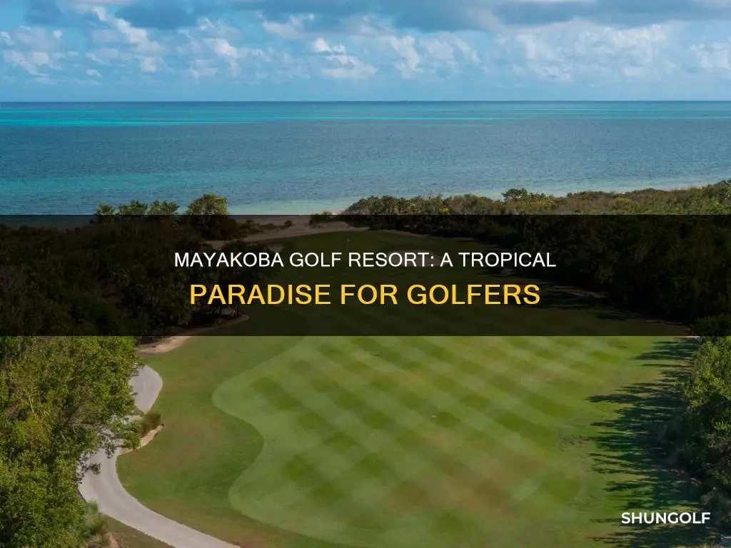 where is mayakoba golf resort