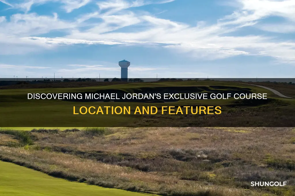 where is michael jordan