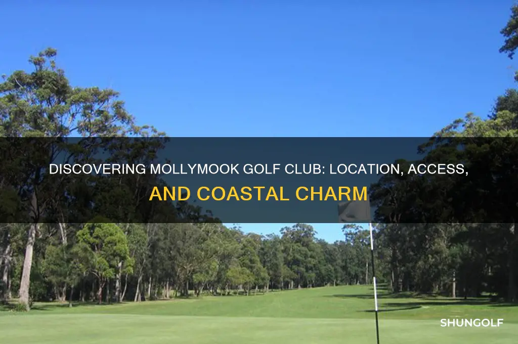 where is mollymook golf club