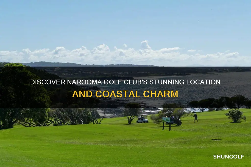 where is narooma golf club