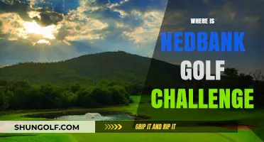 Nedbank Golf Challenge: Sun City's Premier Event