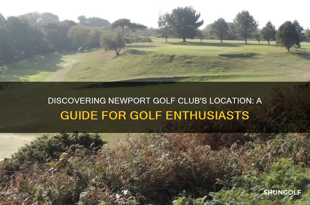 where is newport golf club