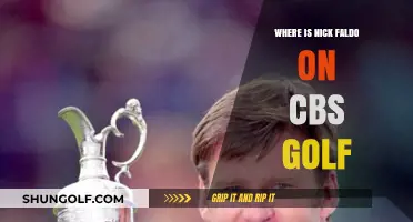 Nick Faldo's CBS Golf Role: Where is He Now?