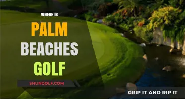 Golfing Paradise: Palm Beaches' Best Courses