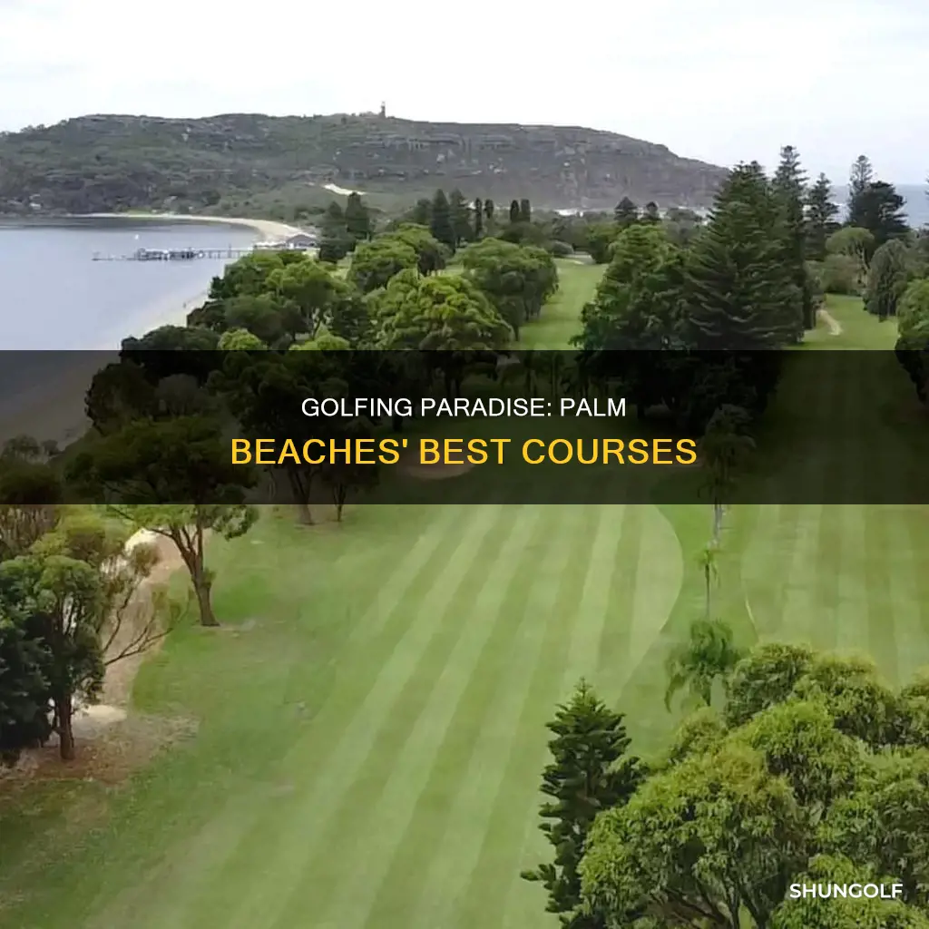 where is palm beaches golf