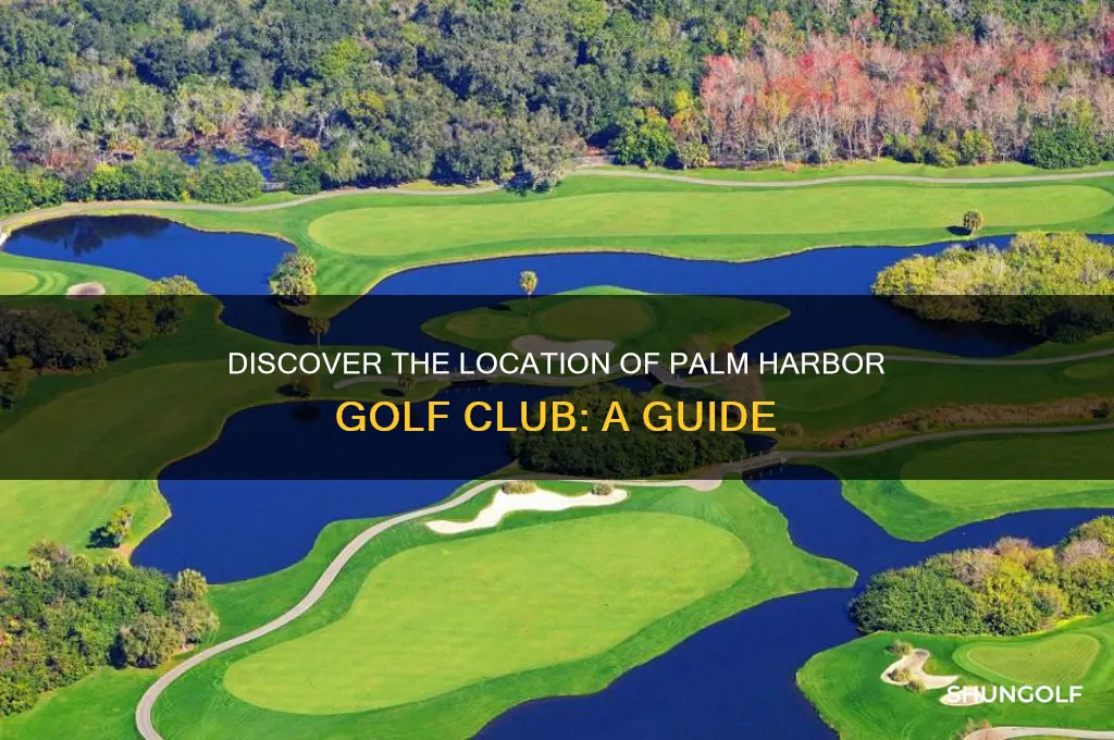 where is palm harbor golf club