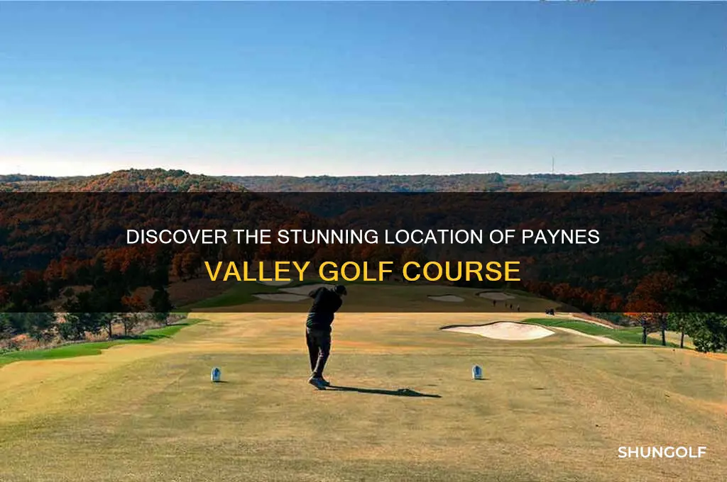 where is paynes valley golf course