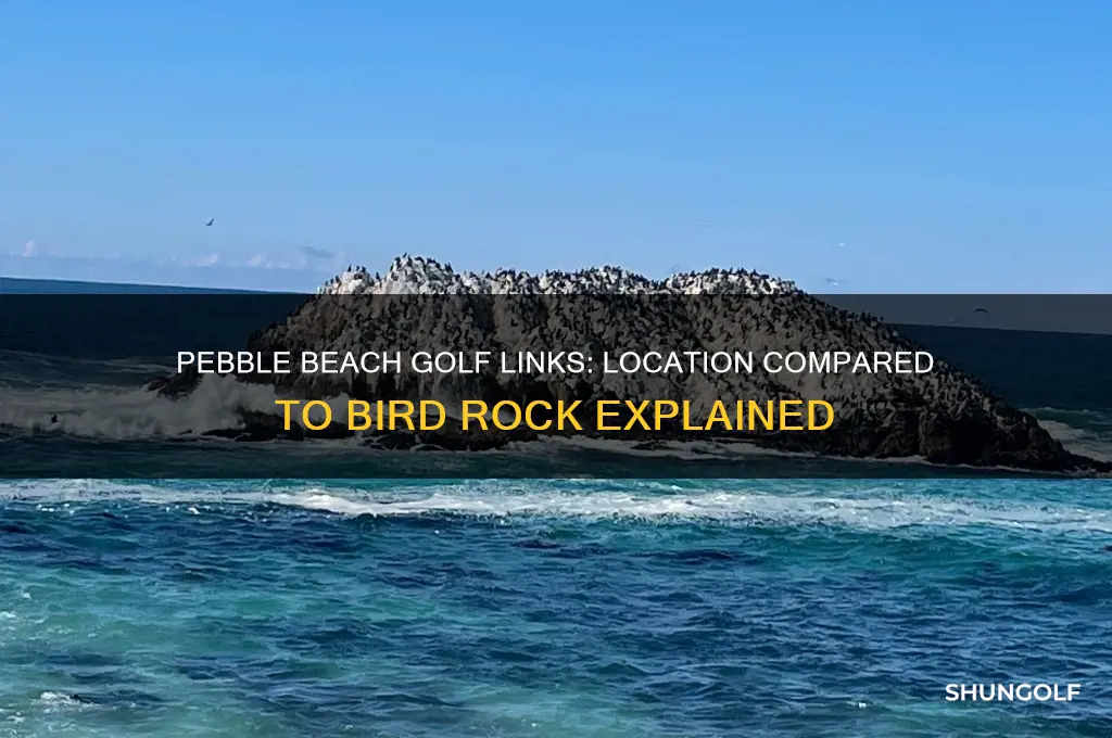 where is pebble beach golf linksrelative to bird rock