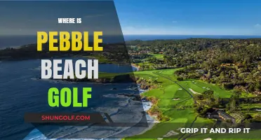 Pebble Beach Golf: A Course with a View