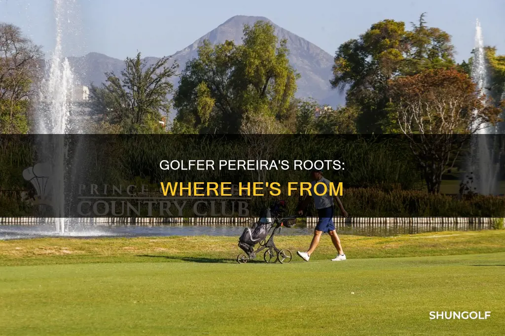 where is pereira from golfer