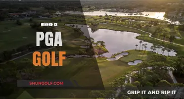 Golf's Greatest: Where PGA Golfers Reign