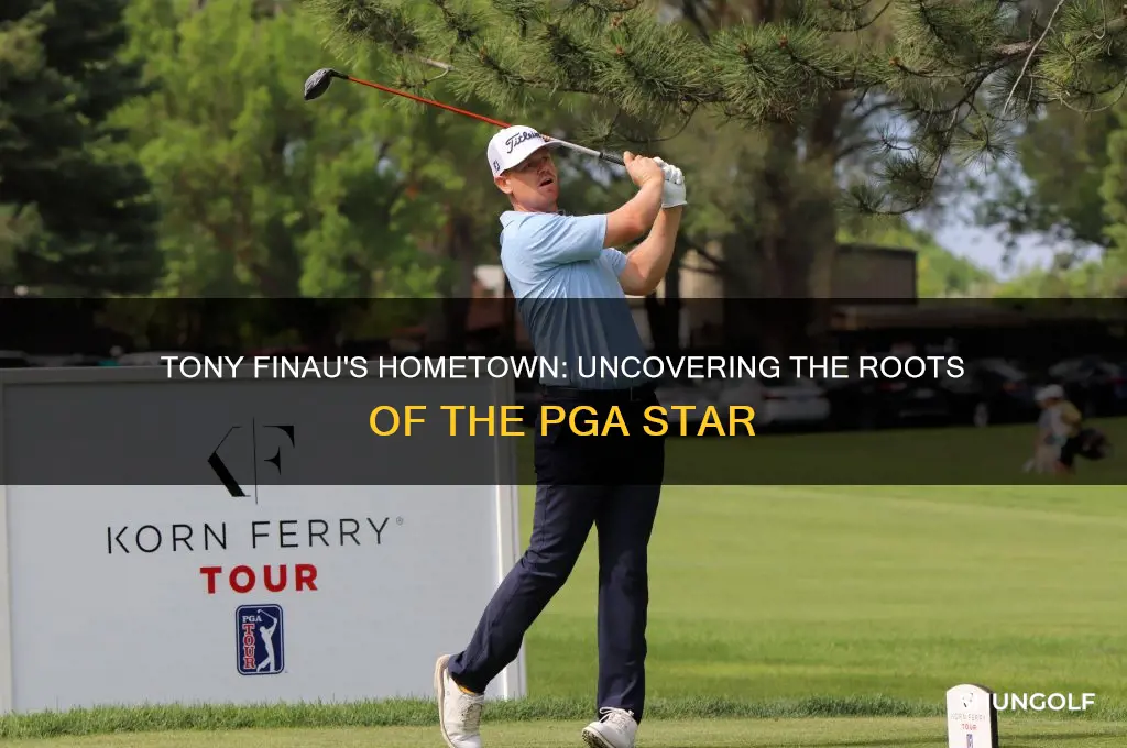 where is pga golfer tony finau from