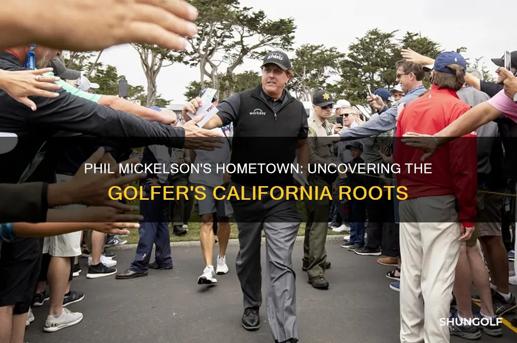 where is phil mickelson the golfer from