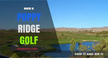 Poppy Ridge Golf: Livermore's Premier Golf Course