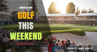 Golf Pros Compete in Canada This Weekend
