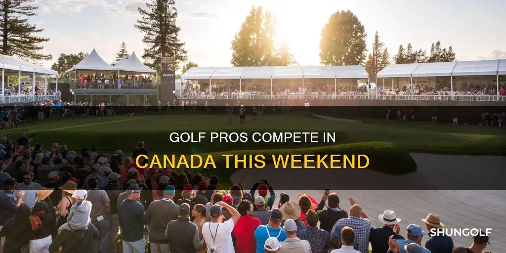 where is pro golf this weekend