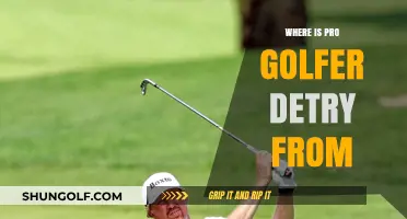 Detry's Golf Journey: From Belgium to the World