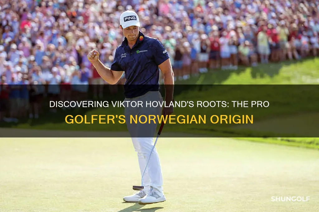 where is pro golfer viktor hovland from