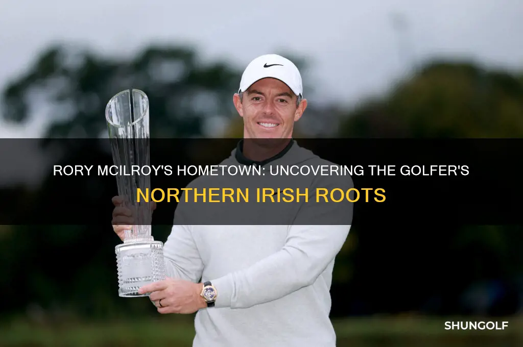 where is rory mcilroy from the golfer