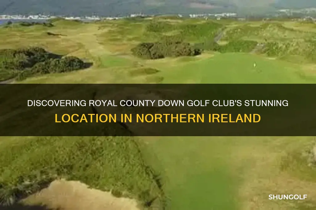 where is royal county down golf club