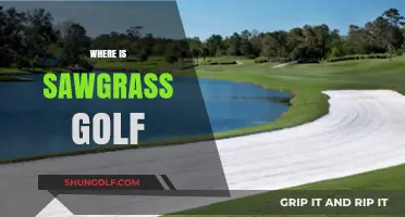Sawgrass Golf: A Prestigious Florida Destination