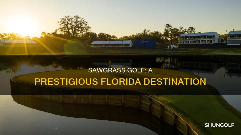 where is sawgrass golf