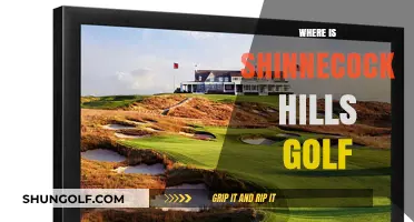 Shinnecock Hills Golf: A Historic Course in Southampton, New York