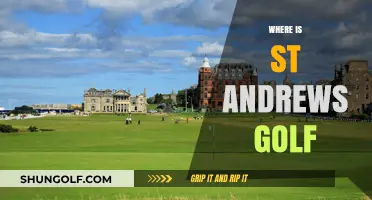 St Andrews: The Home of Golf