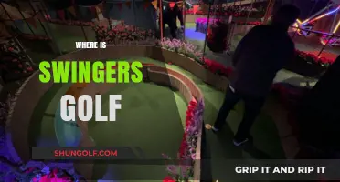 Golf Swingers: Where's the Fun?