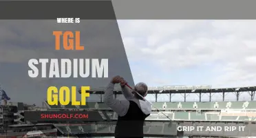 TGL Stadium Golf: Where to Find the Best Courses