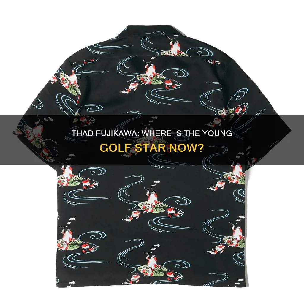where is thad fujikawa golfer