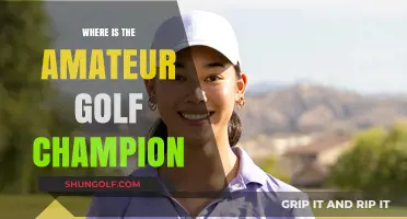 Golf Champion: Where Are They Now?