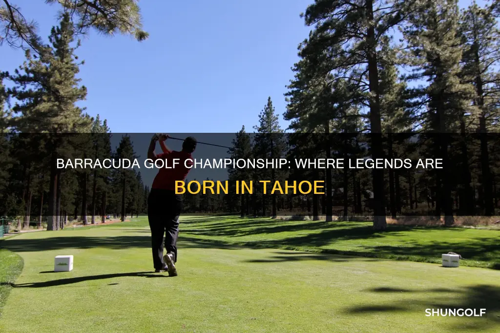 where is the barracuda golf championship