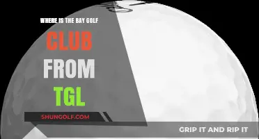 Discovering the Bay Golf Club's Location in TGL: A Guide