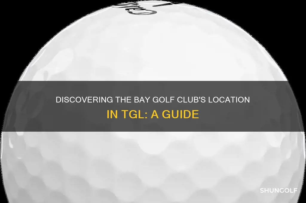 where is the bay golf club from tgl