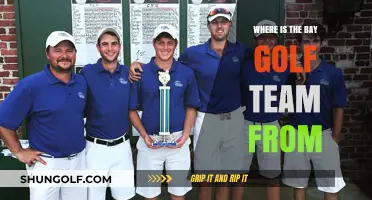 Discovering the Origins of the Bay Golf Team: A Hometown Story