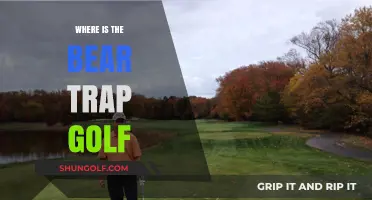 Golfing in a Bear Trap: Where's the Course?